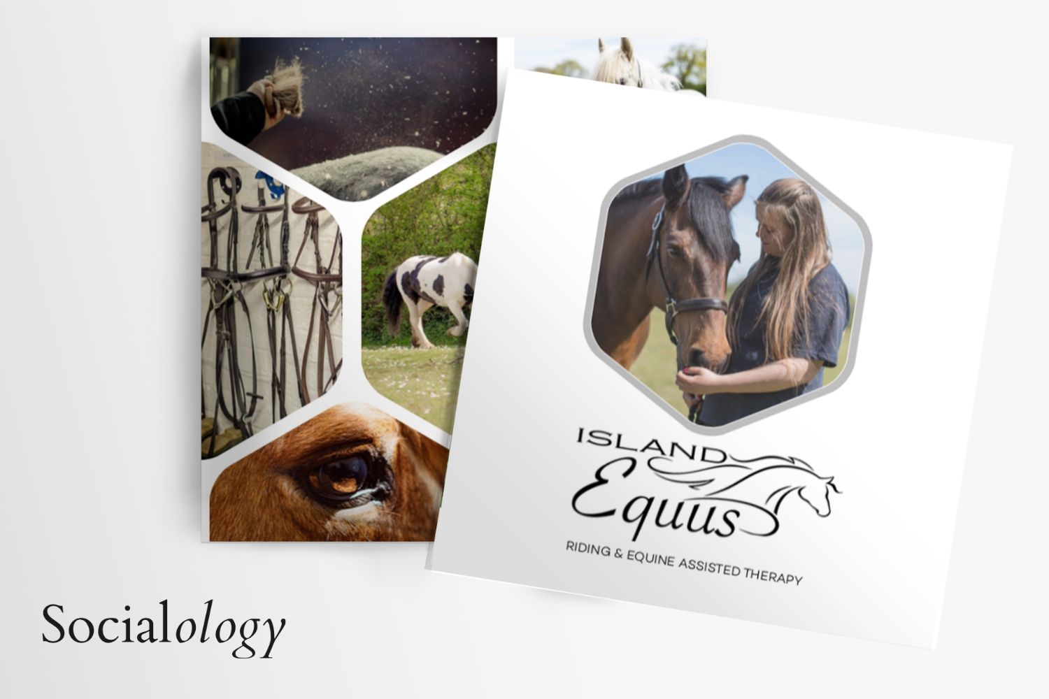 brochure design for print for equine business 